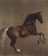 George Stubbs Whistlejacket oil on canvas